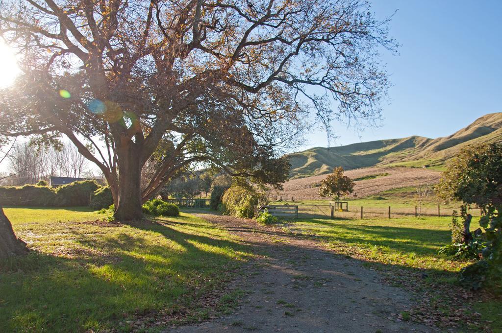 The Cottage Wairoa Esterno foto