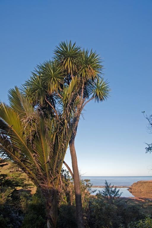 The Cottage Wairoa Esterno foto